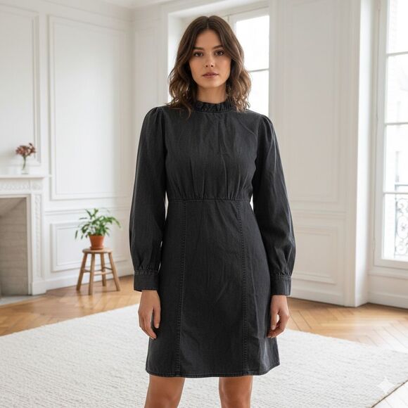 Madewell black mock neck ruffled mini long sleeve cotton dress size 4 academia b - Picture 1 of 8